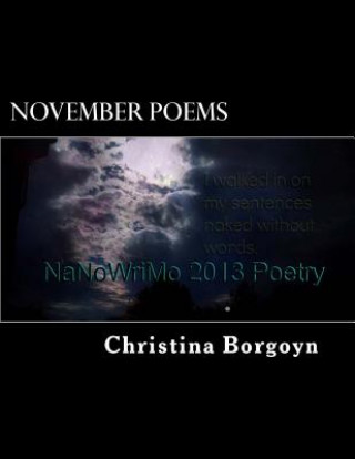 Knjiga November Poems: NaNoWriMo 2013 Christina Borgoyn