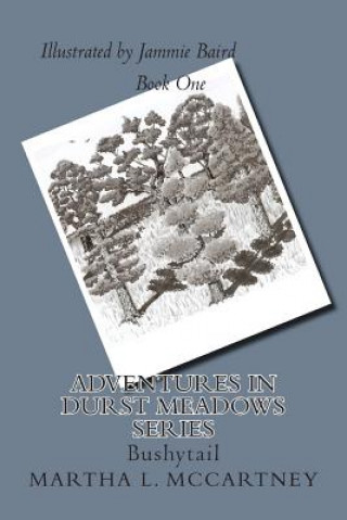 Knjiga Adventures in Durst Meadows: Life with the squirrels Mrs Martha L McCartney