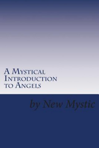 Knjiga A Mystical Introduction to Angels: Getting to Know Kingdom Resources New Mystic