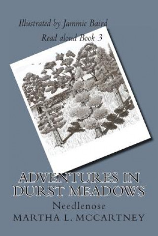 Kniha Adventures In Durst Meadows: Needlenose Martha L McCartney