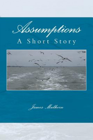 Buch Assumptions: A Short Story James Mulhern