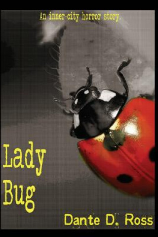 Kniha Lady Bug Dante D Ross