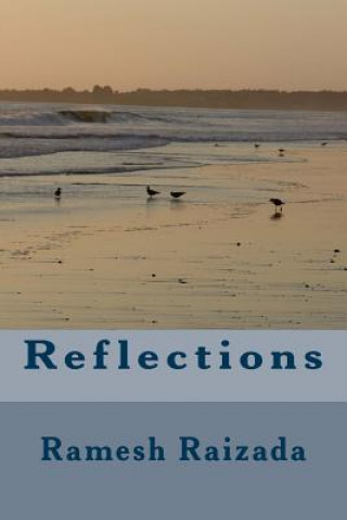 Knjiga Reflections MR Ramesh N Raizada