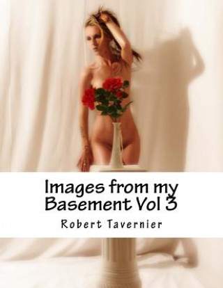 Knjiga Images from my Basement Vol 3: Tattoo Art Robert Tavernier