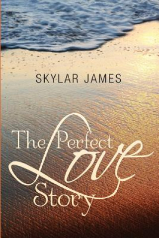 Boek The Perfect Love Story Skylar M James