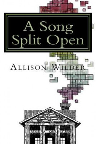 Könyv A Song Split Open Allison Wilder