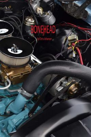 Kniha bonehead Chris Johanson