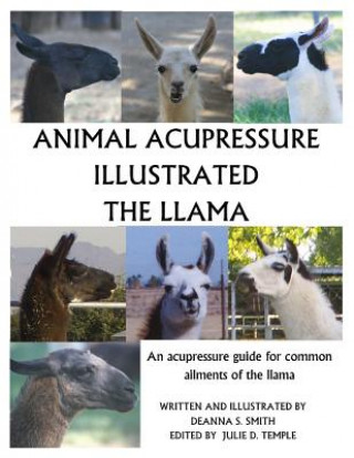Kniha Animal Acupressure Illustrated The Llama Deanna S Smith