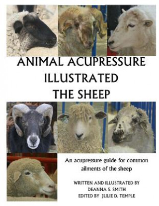 Carte Animal Acupressure Illustrated The Sheep Deanna S Smith