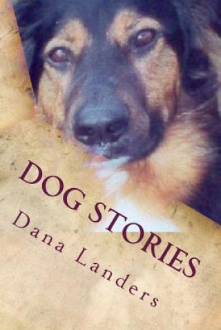 Kniha Dog Stories Dana Landers