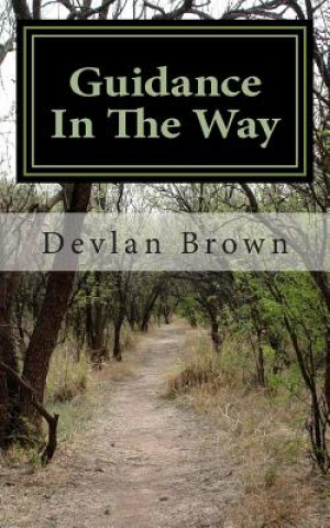 Libro Guidance In The Way Devlan Brown