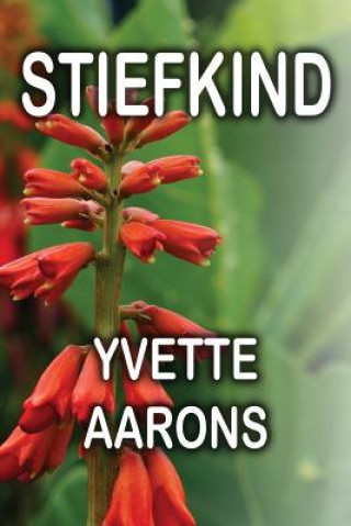 Kniha Stiefkind Mrs Yvette Aarons