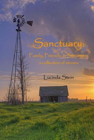 Carte Sanctuary: Family, Friends, and Strangers: a collection of stories Lucinda Stein