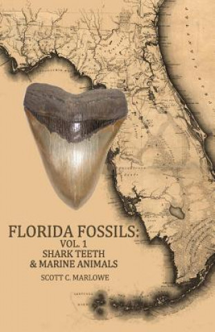 Kniha Florida Fossils: Shark Teeth & Marine Animals Scott C Marlowe