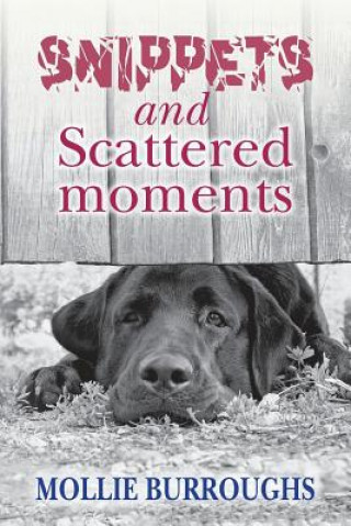 Kniha Snippets and Scattered moments Mollie Burroughs