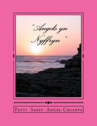 Kniha " Angels yn Nyffryn " Patti Sassyangel Chiappa
