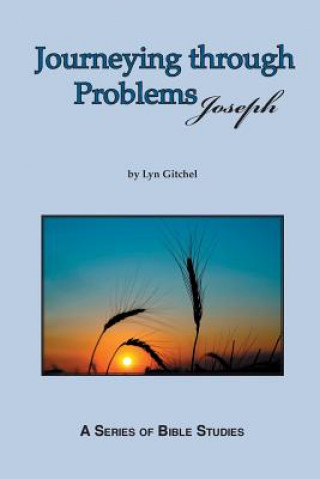 Книга Journeying through problems - Joseph Lyn Gitchel