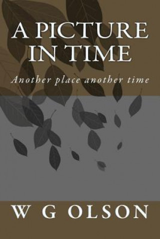 Libro A Picture in Time W G Olson