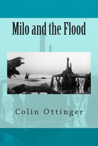 Książka Milo and the Flood Colin G Ottinger