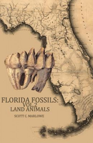 Knjiga Florida Fossils: Land Animals Scott C Marlowe