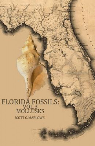 Kniha Florida Fossils: Mollusks Scott C Marlowe