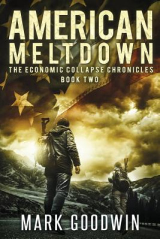 Книга American Meltdown: Book Two of The Economic Collapse Chronicles Mark Goodwin