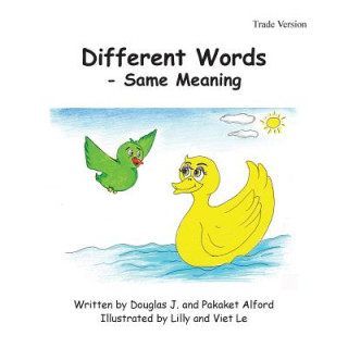 Kniha Different Words - Same Meaning Trade Version MR Douglas J Alford