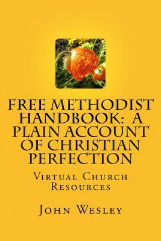 Kniha Free Methodist Handbook: A Plain Account of Christian Perfection Rev John Wesley