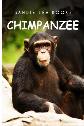 Knjiga Chimpanzee - Sandie Lee Books Curious Kids Press