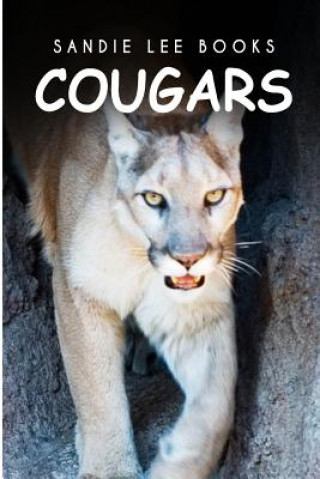 Carte Cougars - Sandie Lee Books Curious Kids Press
