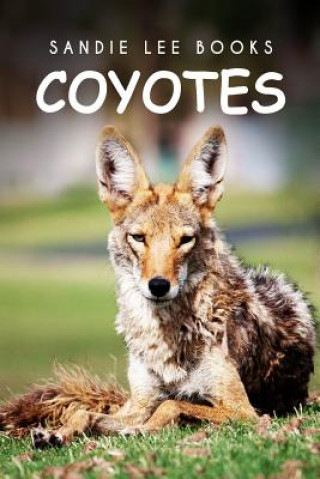 Kniha Coyotes - Sandie Lee Books Curious Kids Press