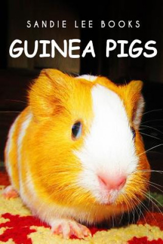 Carte Guinea Pigs - Sandie Lee Books Curious Kids Press