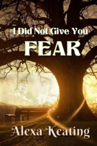 Knjiga I Did Not Give You Fear Alexa Keating