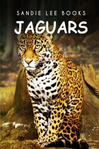 Könyv Jaguars - Sandie Lee Books Sandie Lee Books