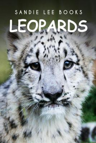 Kniha Leopards - Sandie Lee Books Sandie Lee Books