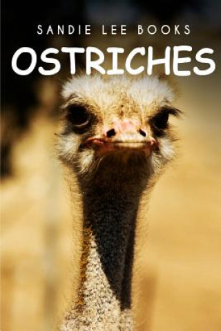 Könyv Ostriches - Sandie Lee Books Sandie Lee Books