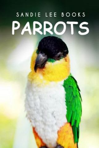 Book Parrots - Sandie Lee Books Sandie Lee Books