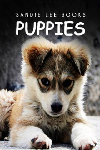 Knjiga Puppies - Sandie Lee Books Sandie Lee Books