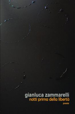 Libro notti prima della libert?: poesie scelte 1986-2001 Gianluca Zammarelli