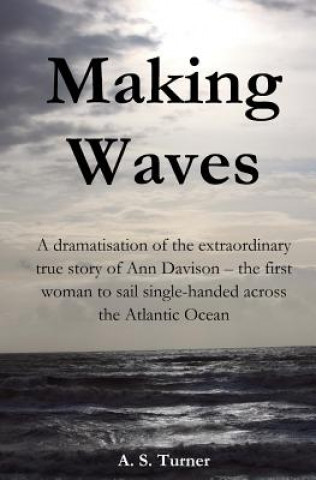 Kniha Making Waves A S Turner