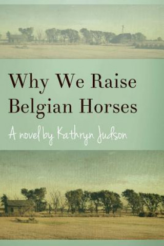 Kniha Why We Raise Belgian Horses Kathryn Judson