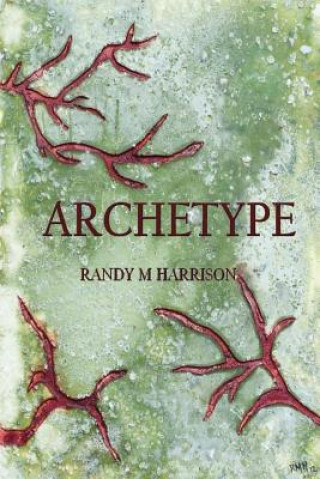 Libro Archetype Randy M Harrison