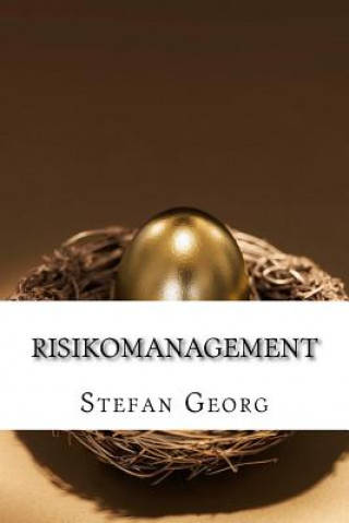 Könyv Risikomanagement: Grundlagen, Instrumente, Anwendungen Stefan Georg