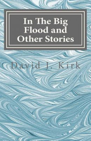 Könyv In The Big Flood and Other Stories David J Kirk