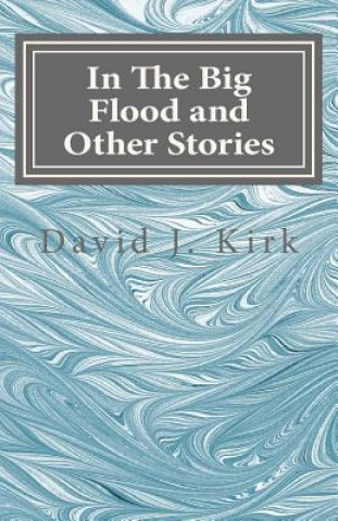 Kniha In The Big Flood and Other Stories David J Kirk