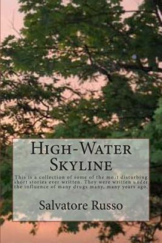 Knjiga High-Water Skyline: This is a collection of some of the most disturbing short stories ever written. They are over analytical, bloody, perv Spr Salvatore Peter Russo