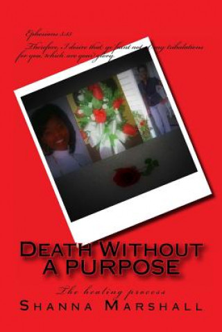 Könyv Death Without A Purpose: The Healing Process Shanna Marshall