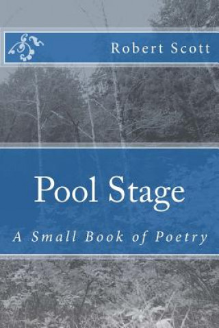 Kniha Pool Stage: A Small Book of Poetry Robert Scott