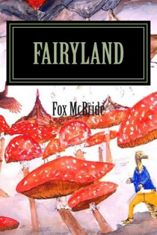 Knjiga Fairyland Fox McBride