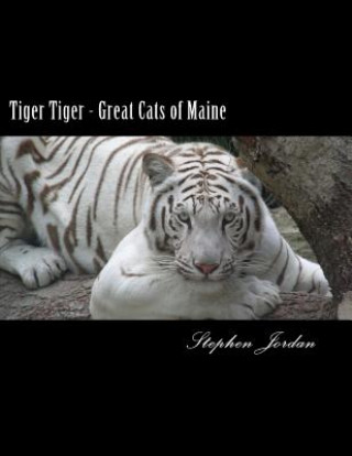 Kniha Tiger Tiger - Great Cats of Maine: D.E.W. Animal Kingdom Resident Tigers Stephen R Jordan